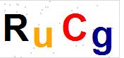 看不到验证码？点击重新换一个！