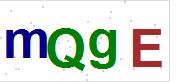 看不到验证码？点击重新换一个！